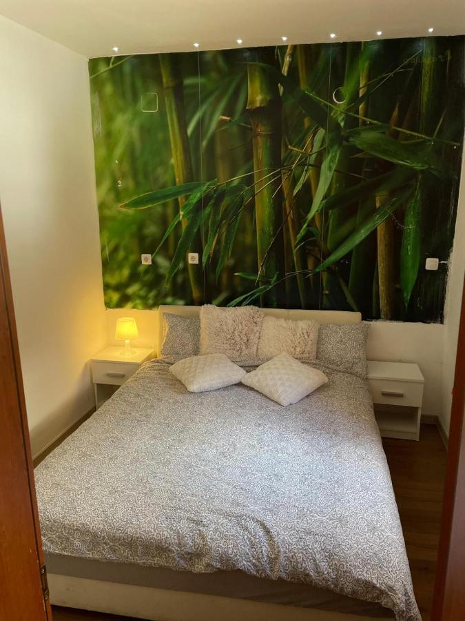 Cozy 1b Vera-self Check In * Zagreb